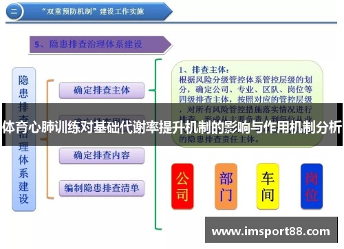 体育心肺训练对基础代谢率提升机制的影响与作用机制分析