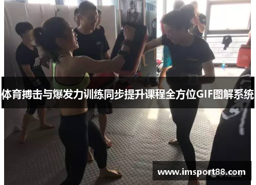 体育搏击与爆发力训练同步提升课程全方位GIF图解系统